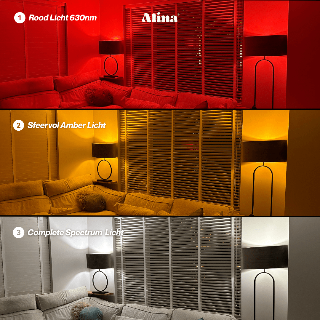 3 Kleuren Licht Lamp - Alinastore