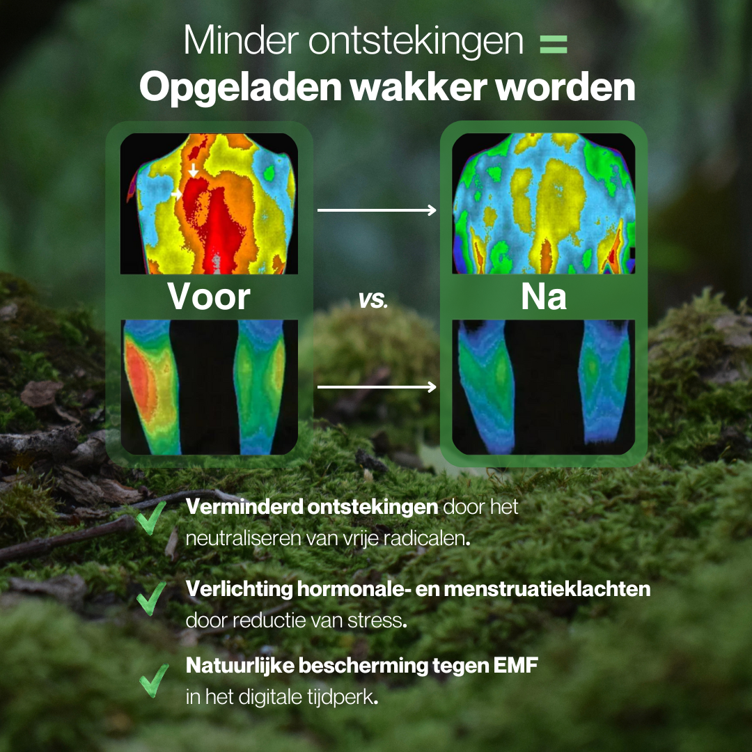 Aardingslaken