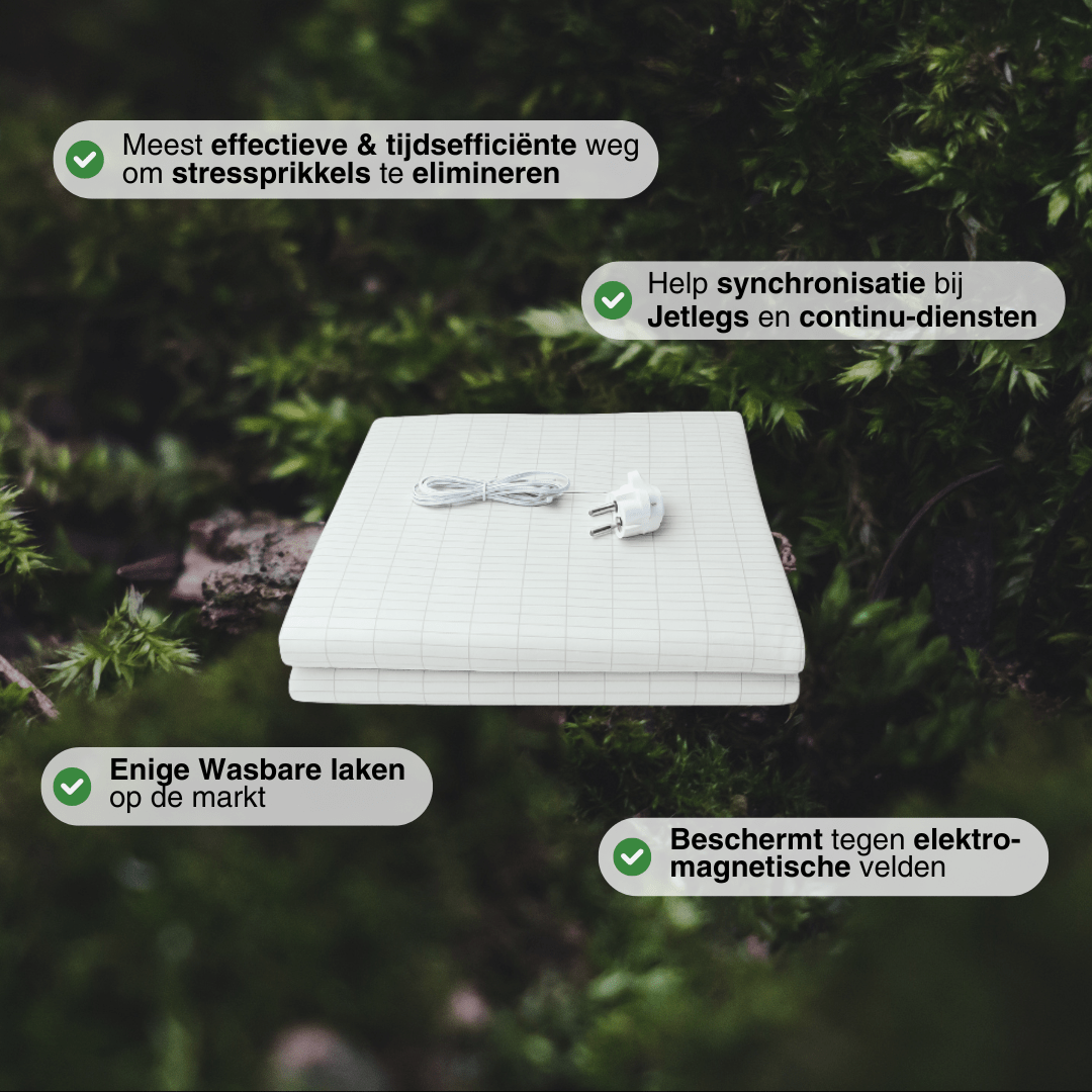 Aardingslaken - Alinastore