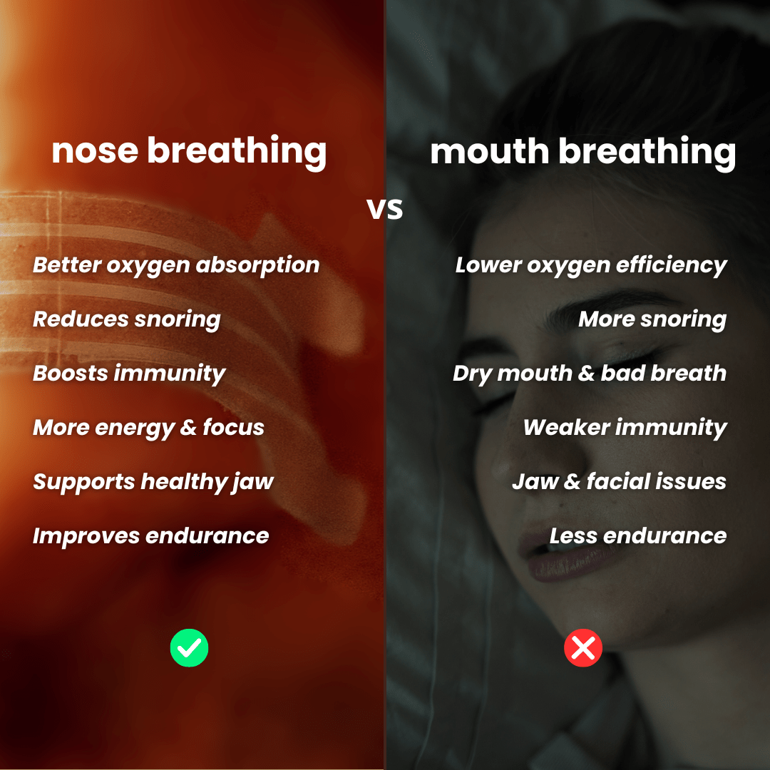 Neusstrips - 60 Stuks - Alinastore